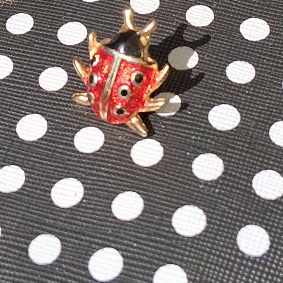 Accessories - Gold-Tone Red Ladybug Enamel Pin